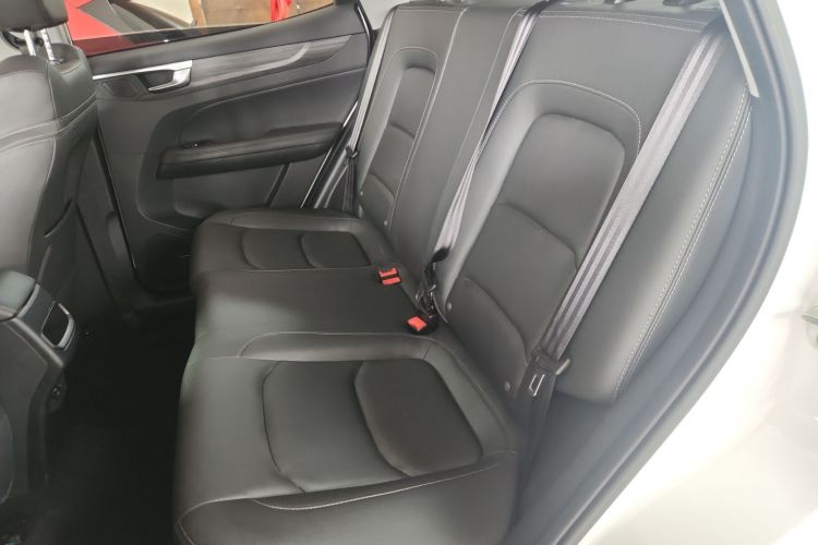 Showjet Pro 2021 car image #17