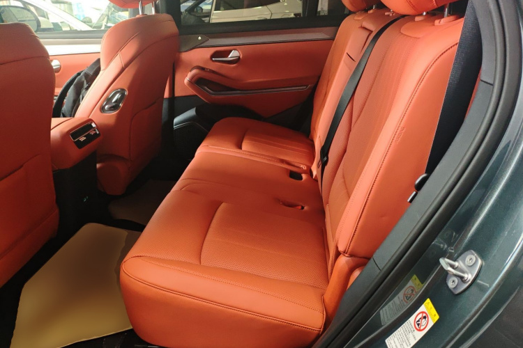 BYD Tang L 2025 car image #17