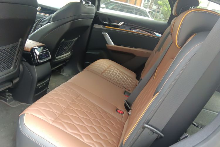 BYD Tang New Energy 2023 car image #17