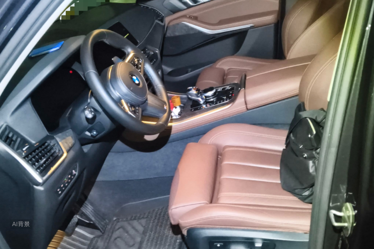 BMW X5 (Imported) 2019 car image #17