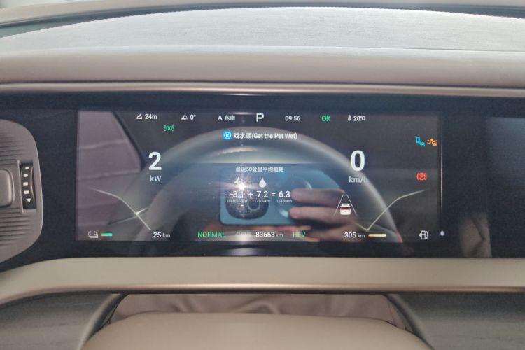 Denza D9 2023 imagem de carro #17