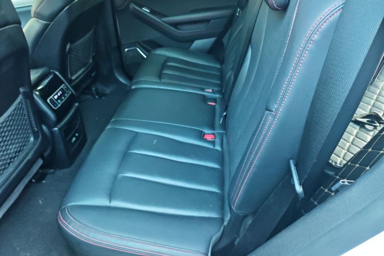 BYD Tang New Energy 2019 car image #17