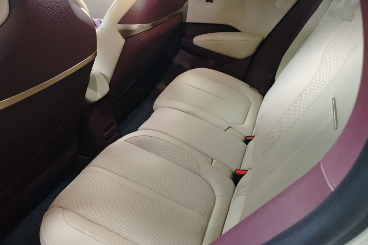 极氪 极氪X 2024 汽车图片 #17