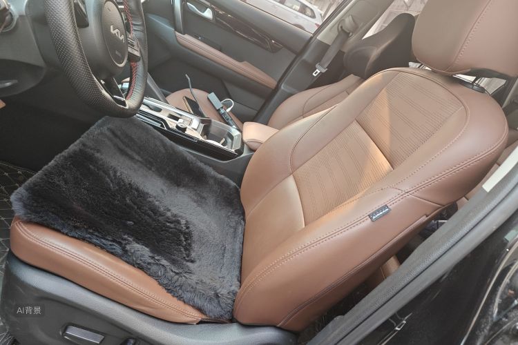 起亚 智跑 2022 汽车图片 #17