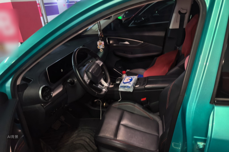 T5 EVO 2021 car image #17