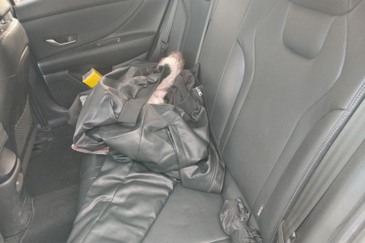 Hyundai Elantra 2021 car image #17