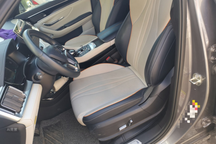 BYD Song Plus New Energy 2021 car image #17