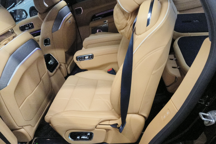 极氪 极氪9X 2025 汽车图片 #17