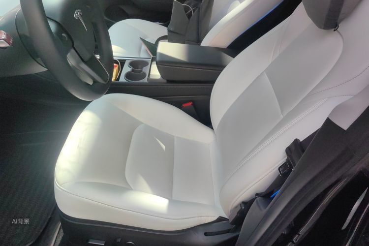 Tesla Model 3 2022 immagine di auto #17