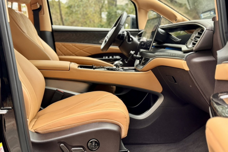 Denza D9 2025 изображение автомобиля #17