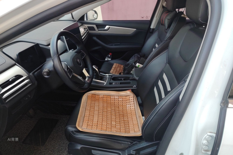 BYD Qin Pro 2019 imagen de coche #17