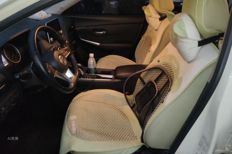 日产 轩逸 2020 汽车图片 #17