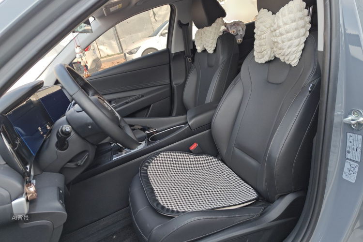 Hyundai Elantra 2022 imagen de coche #17