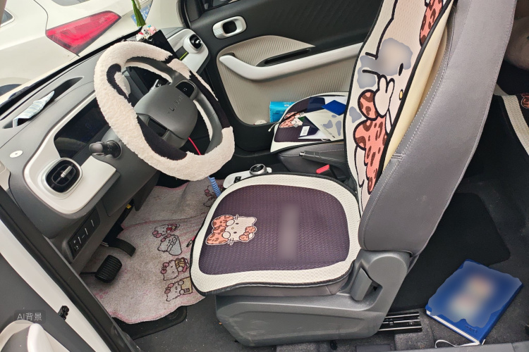 睿蓝汽车 2025 汽车图片 #17