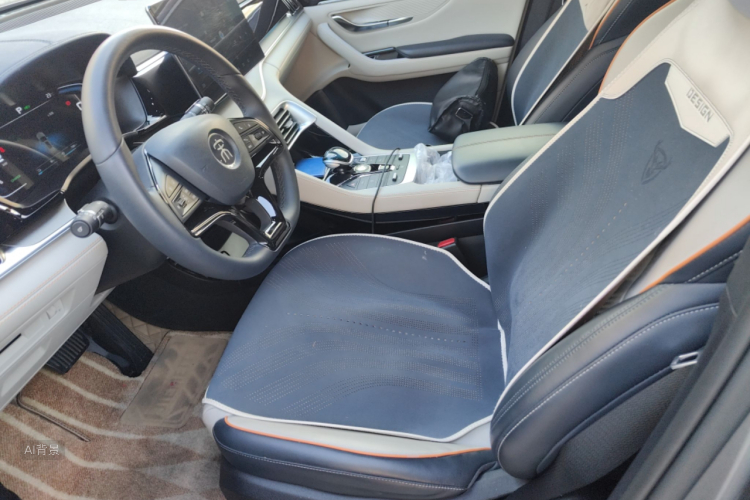 BYD Song Plus New Energy 2022 car image #17