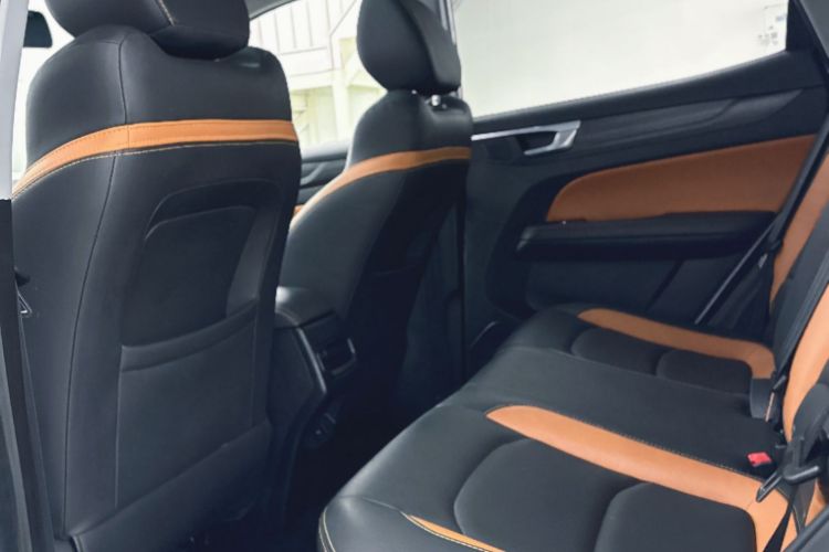 Showjet Pro 2021 car image #17