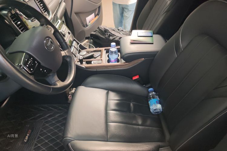 GAC Trumpchi M8 2020 car image #17