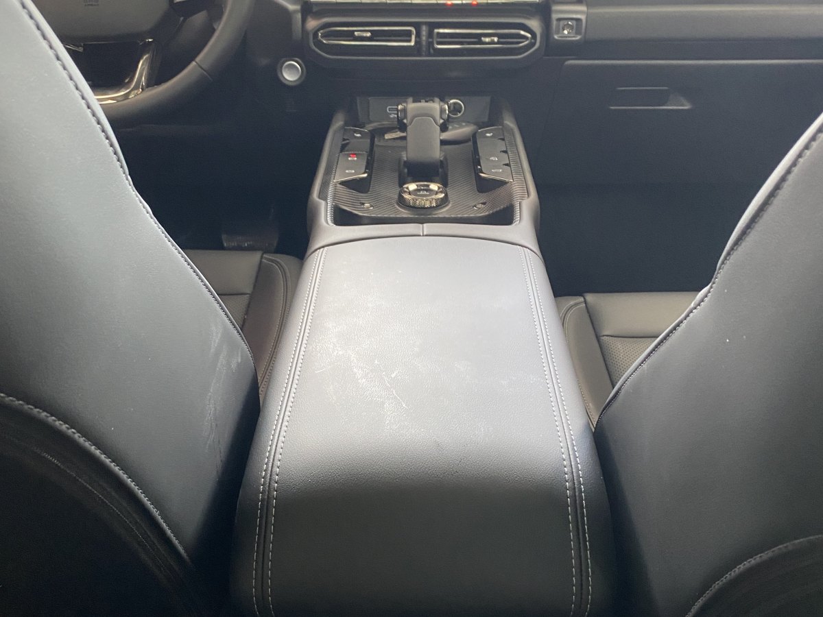 Haval X Dog 2 New Energy 2024 car image #17