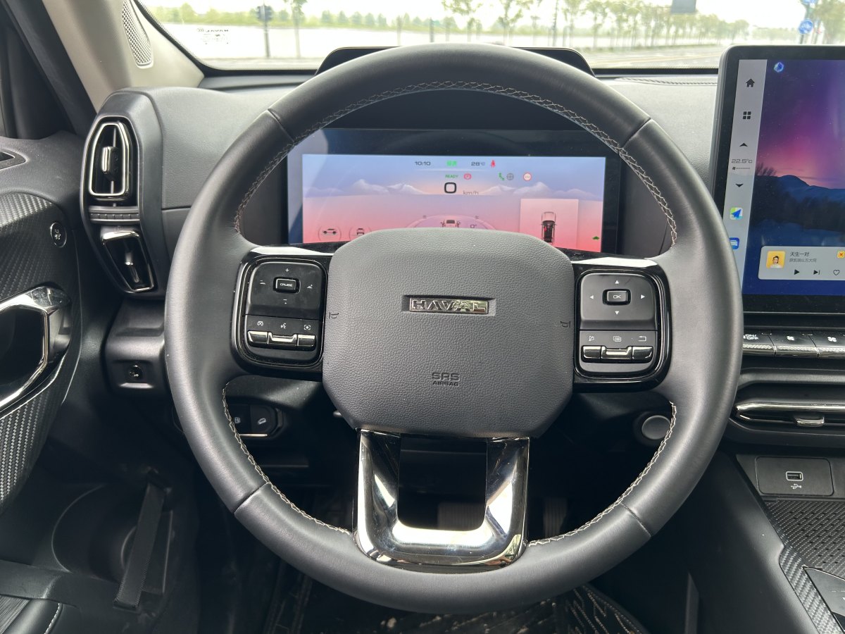 Haval X Dog 2 New Energy 2024 car image #17