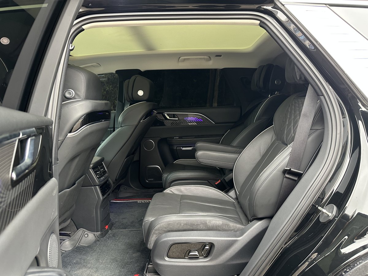 HongQi E-HS9 2022 #17 HongQi E-HS9 2022 car image #17