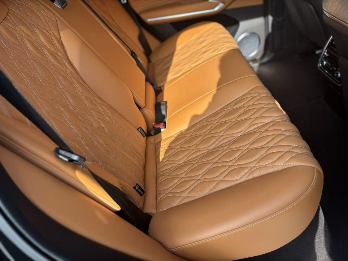 Tank 500 New Energy 2024 car image #17