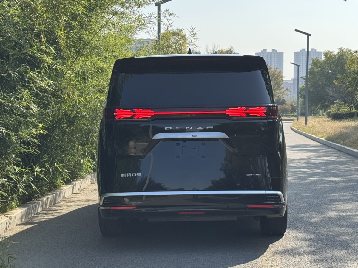 腾势 腾势D9 2024 汽车图片 #17