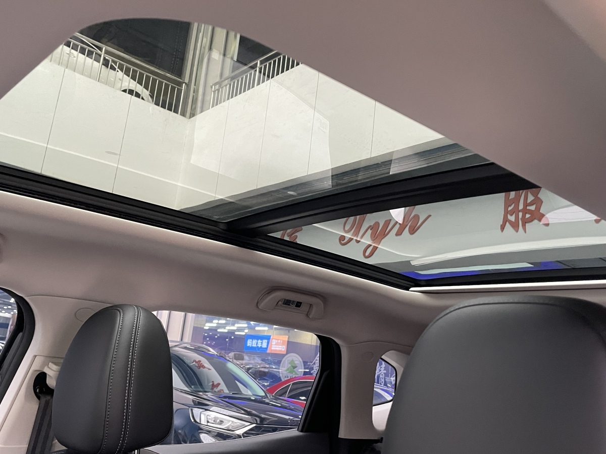 Haval X Dog 2 New Energy 2023 car image #17