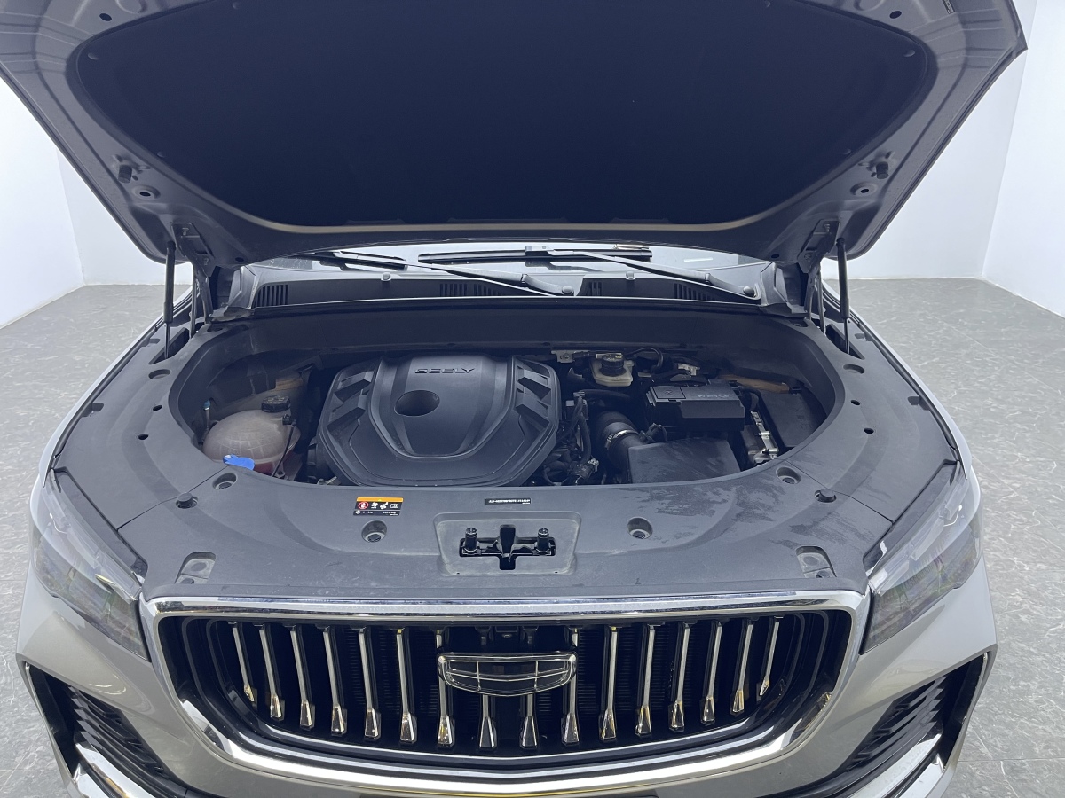 GEELY Tugella 2024 car image #17