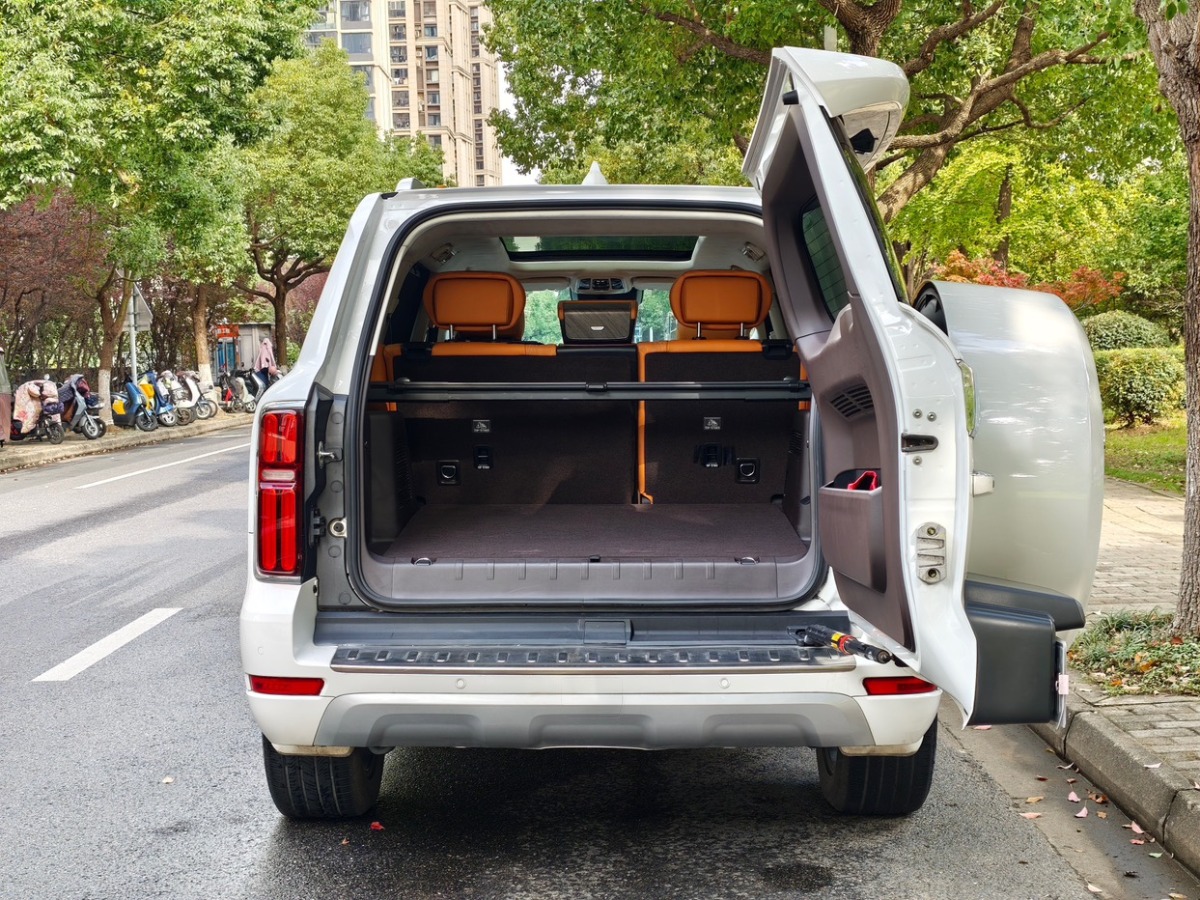 Tank 500 2022 #17 Tank 500 2022 صورة سيارة #17