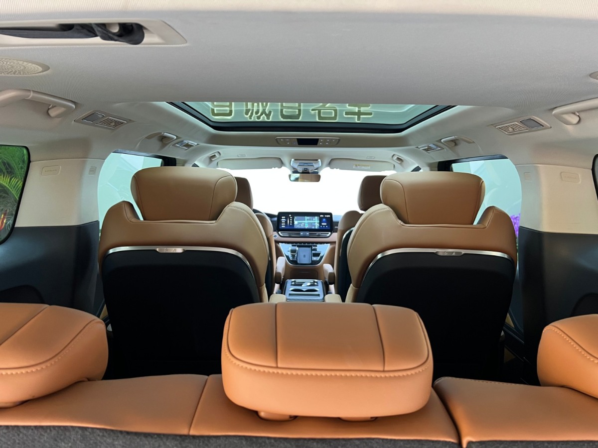 HongQi HQ9 2023 car image #17