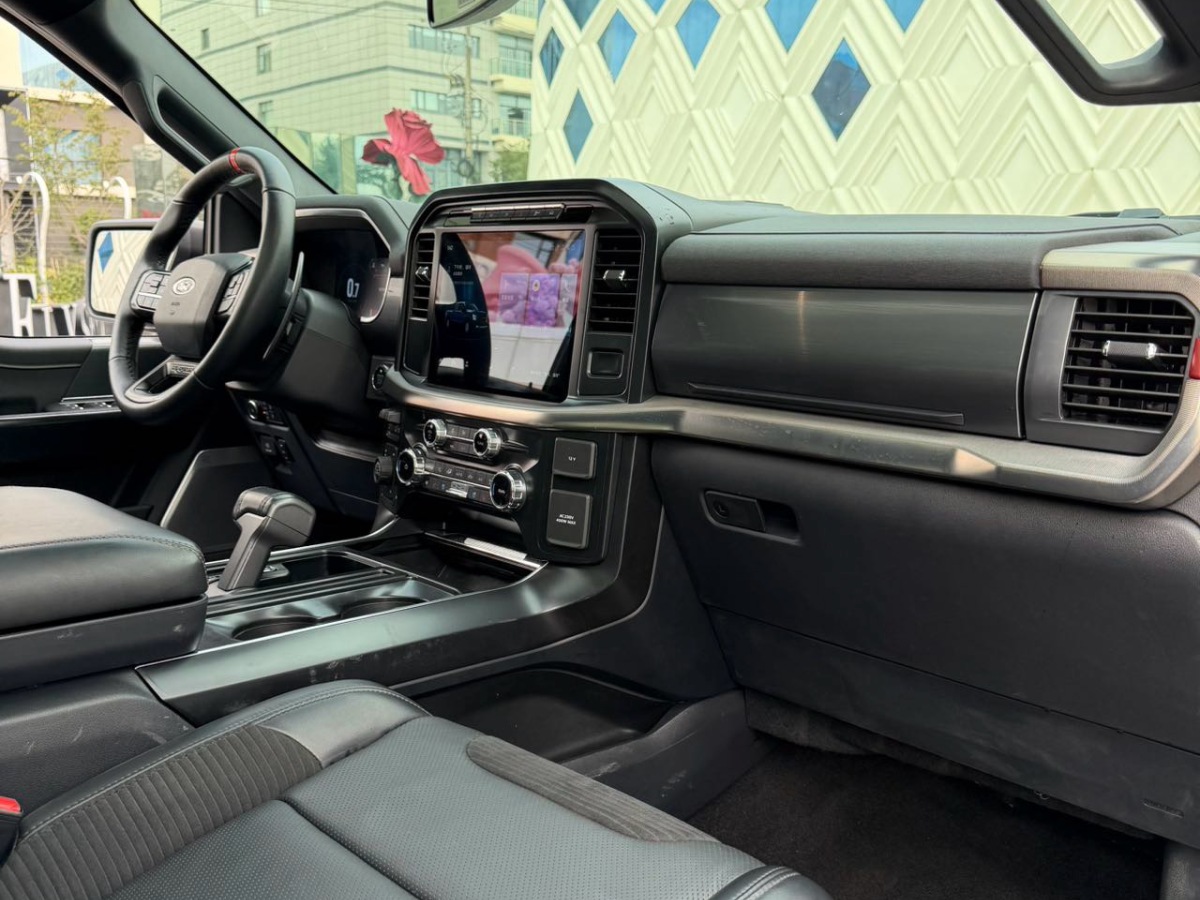 Ford F-150 Raptor 2023 car image #17