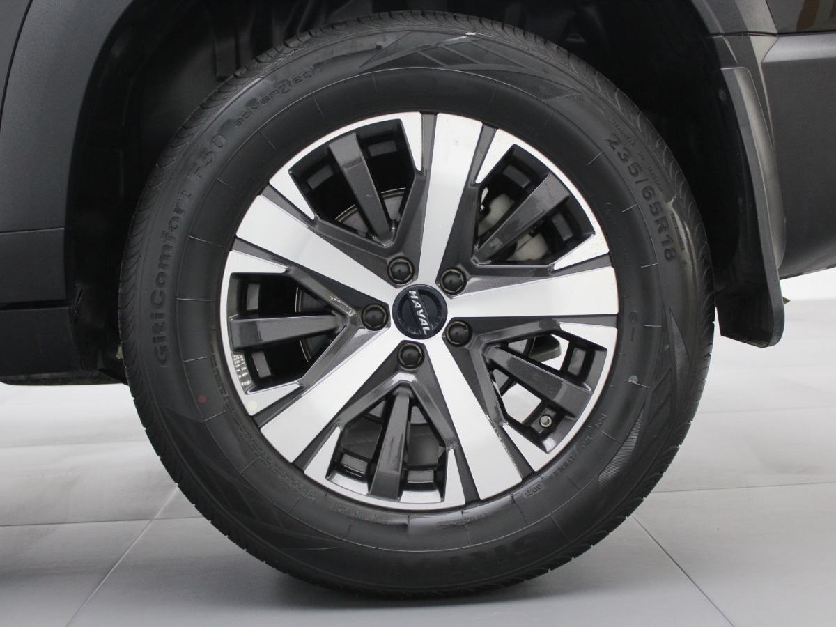 Haval X Dog / Dargo 2021 car image #17