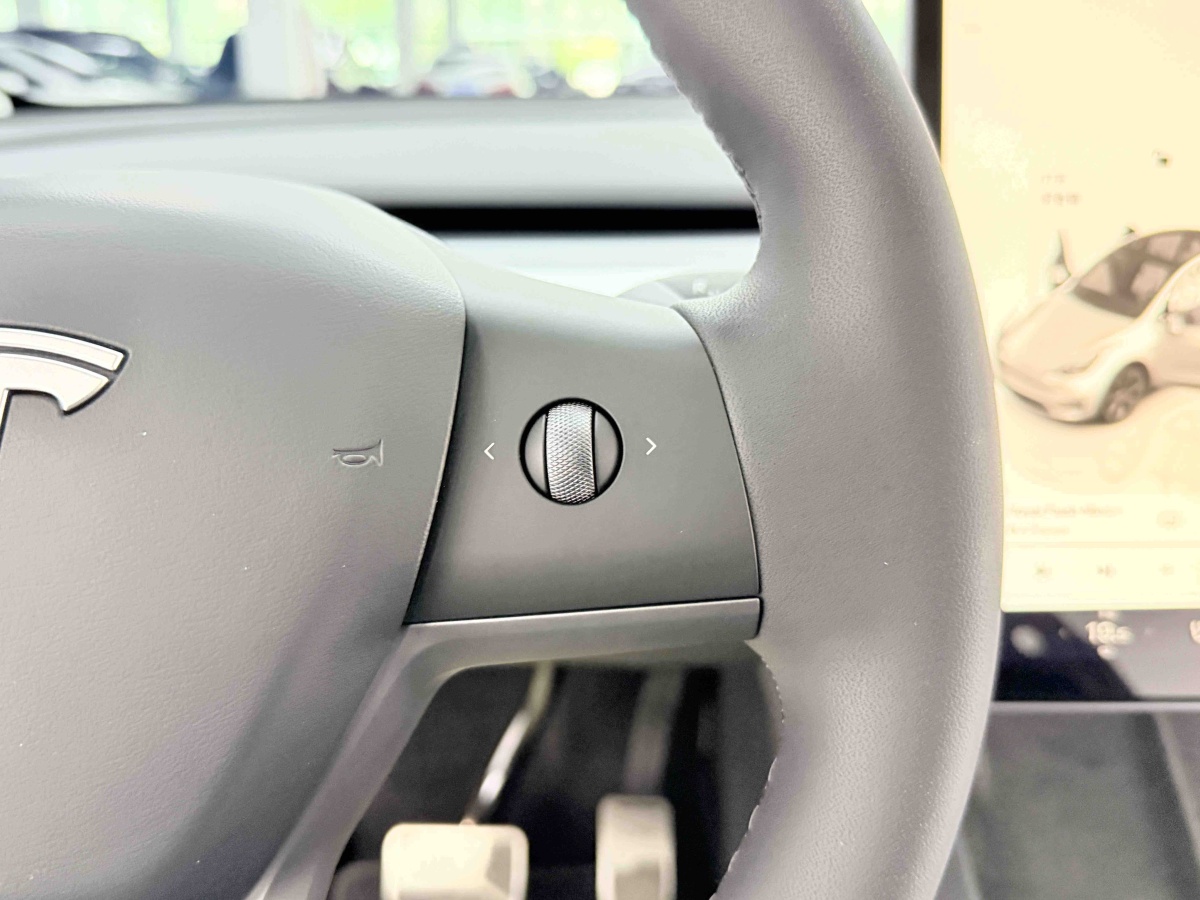 Tesla Model Y 2023 #17 Tesla Model Y 2023 car image #17