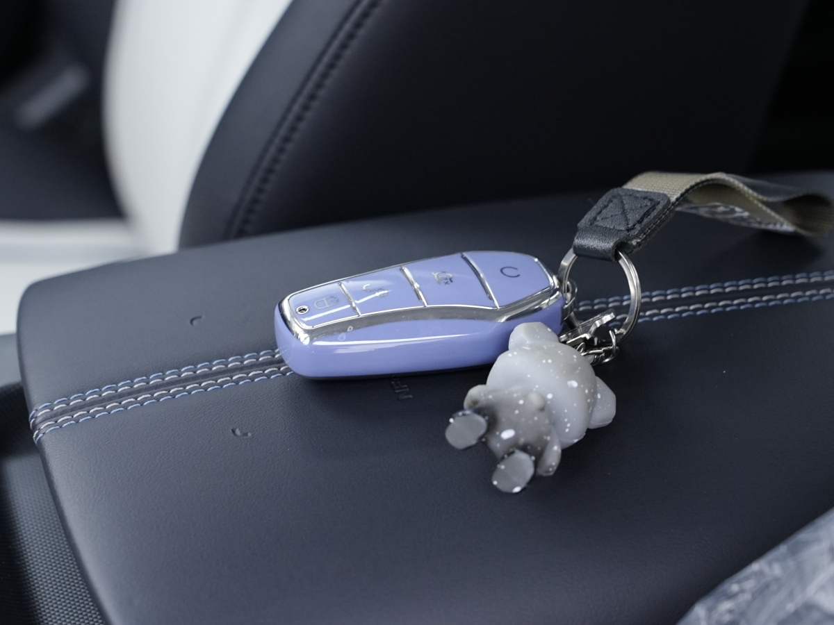 BYD Destroyer 05 2025 car image #17