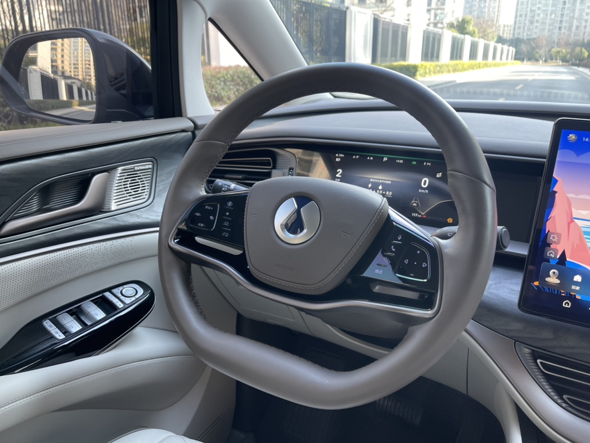 Denza D9 2023 #17 Denza D9 2023 car image #17