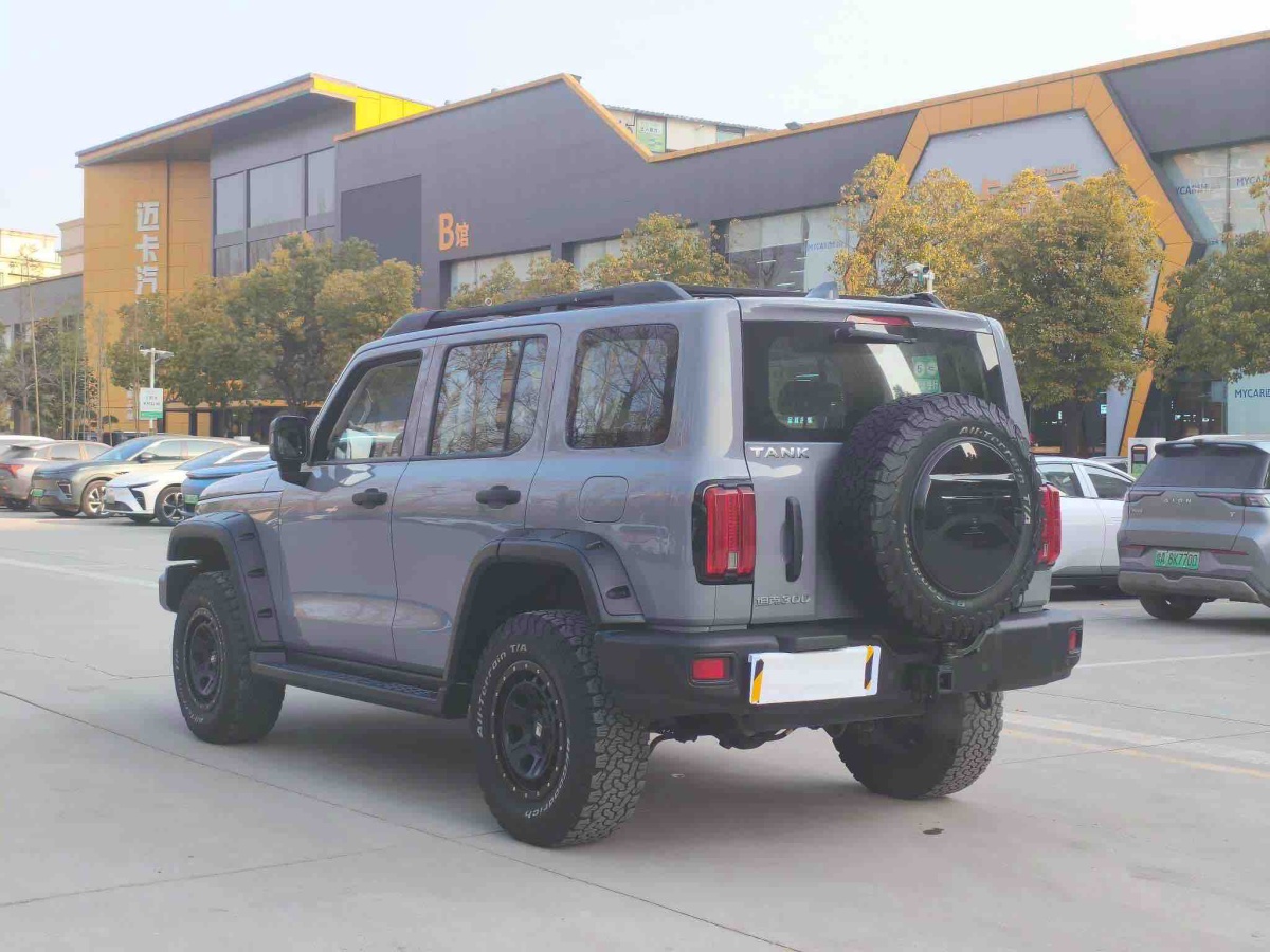 Tank 300 2022 #17 Tank 300 2022 صورة سيارة #17