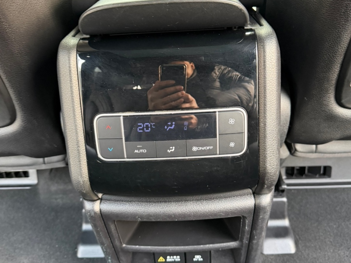 Denza X 2021 image de voiture #17