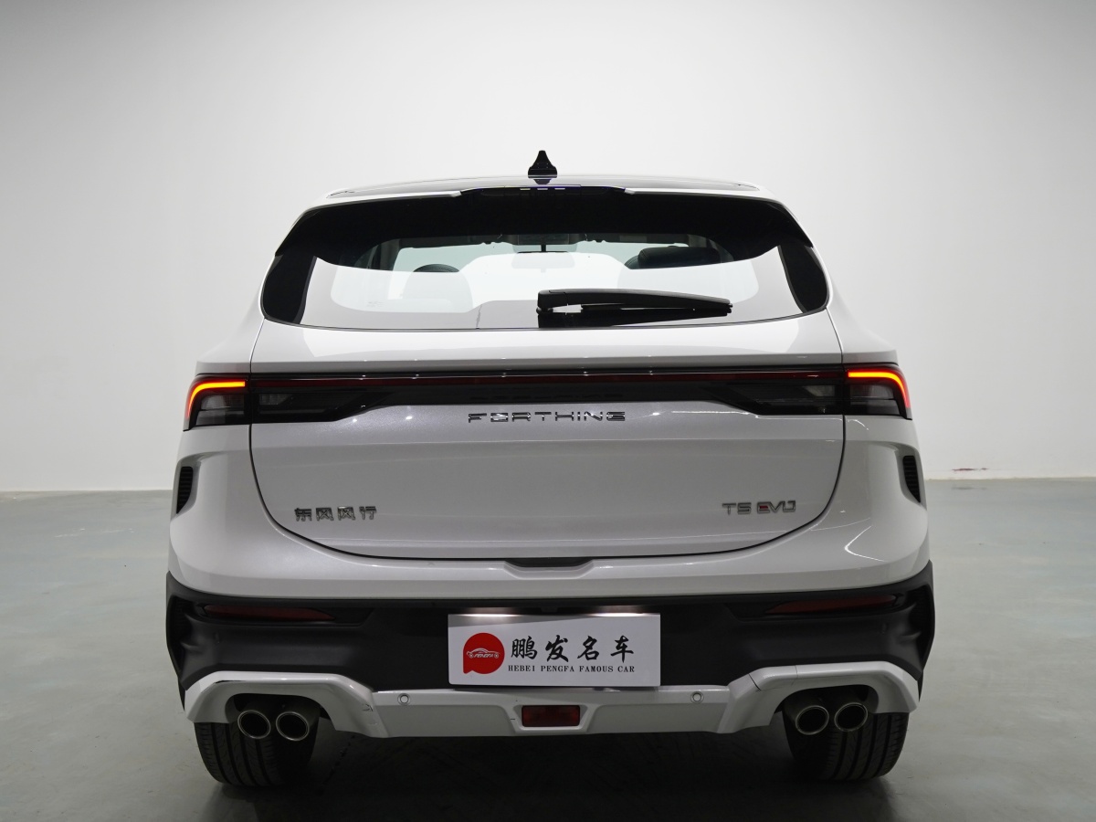 Forthing T5 EVO 2023 #17 Forthing T5 EVO 2023 car image #17