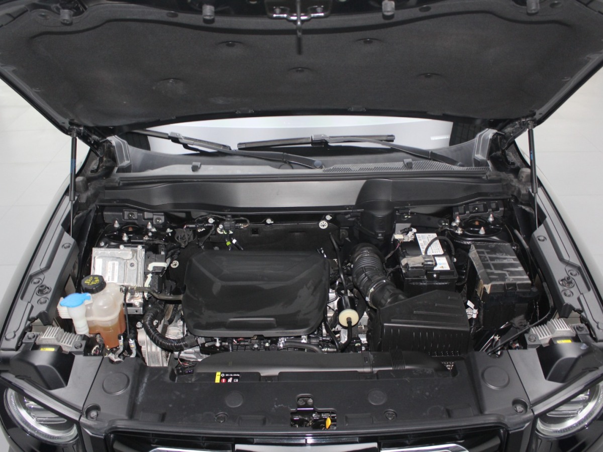 Haval X Dog / Dargo 2022 #17 Haval X Dog / Dargo 2022 car image #17