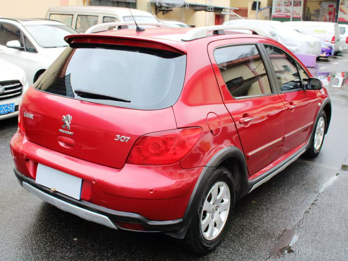 Peugeot 307 2012 car image #17