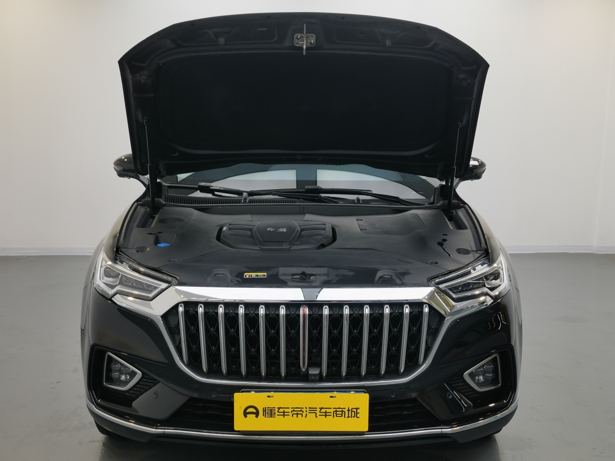 HongQi HS5 2022 صورة سيارة #17