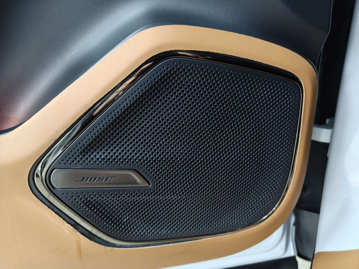 Lynk & Co 09 EM-P 2022 car image #17
