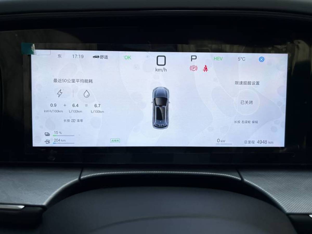 BYD Sea Lion 07 DM-i 2025 car image #17