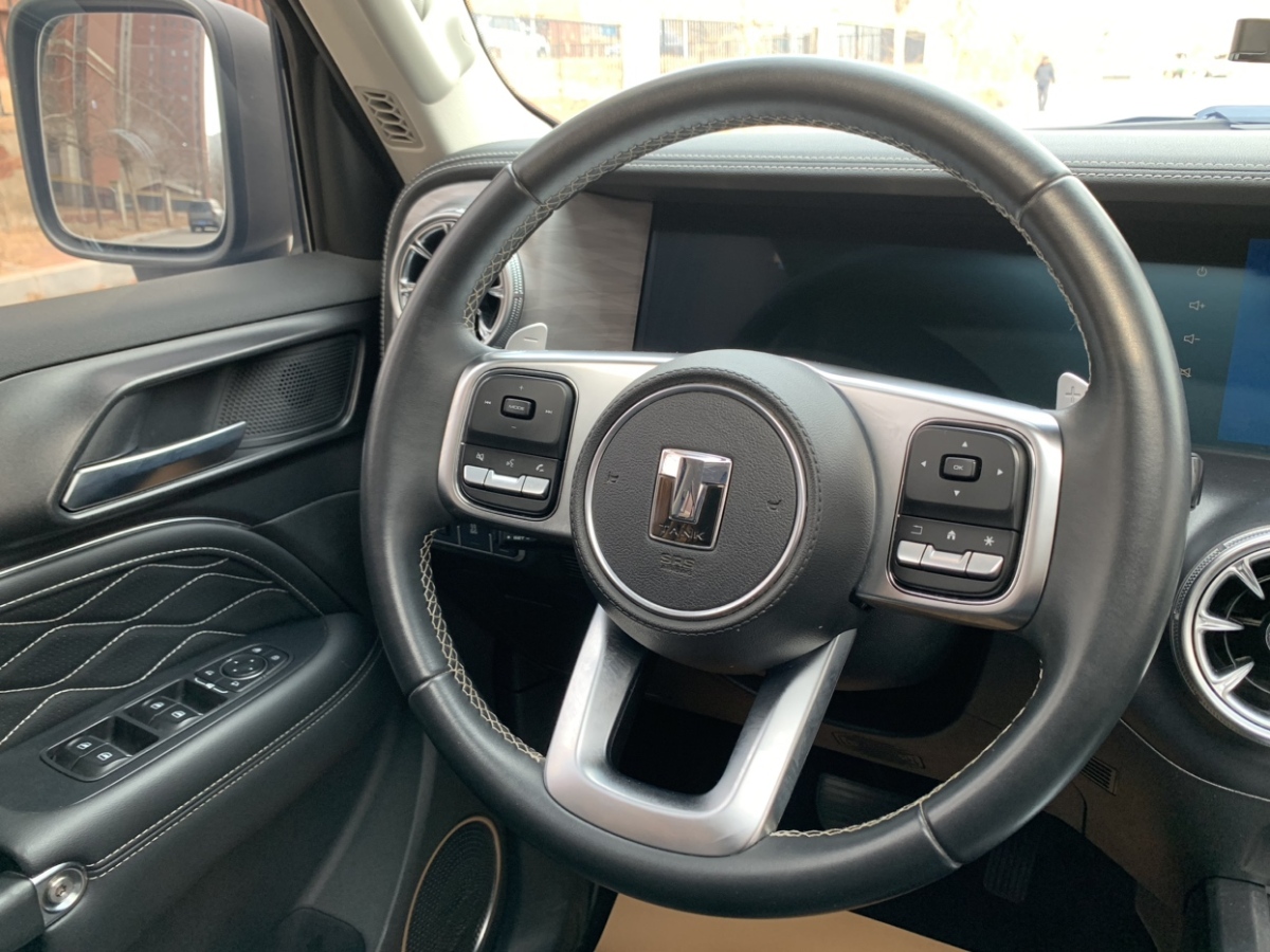 Tank 300 2021 car image #17