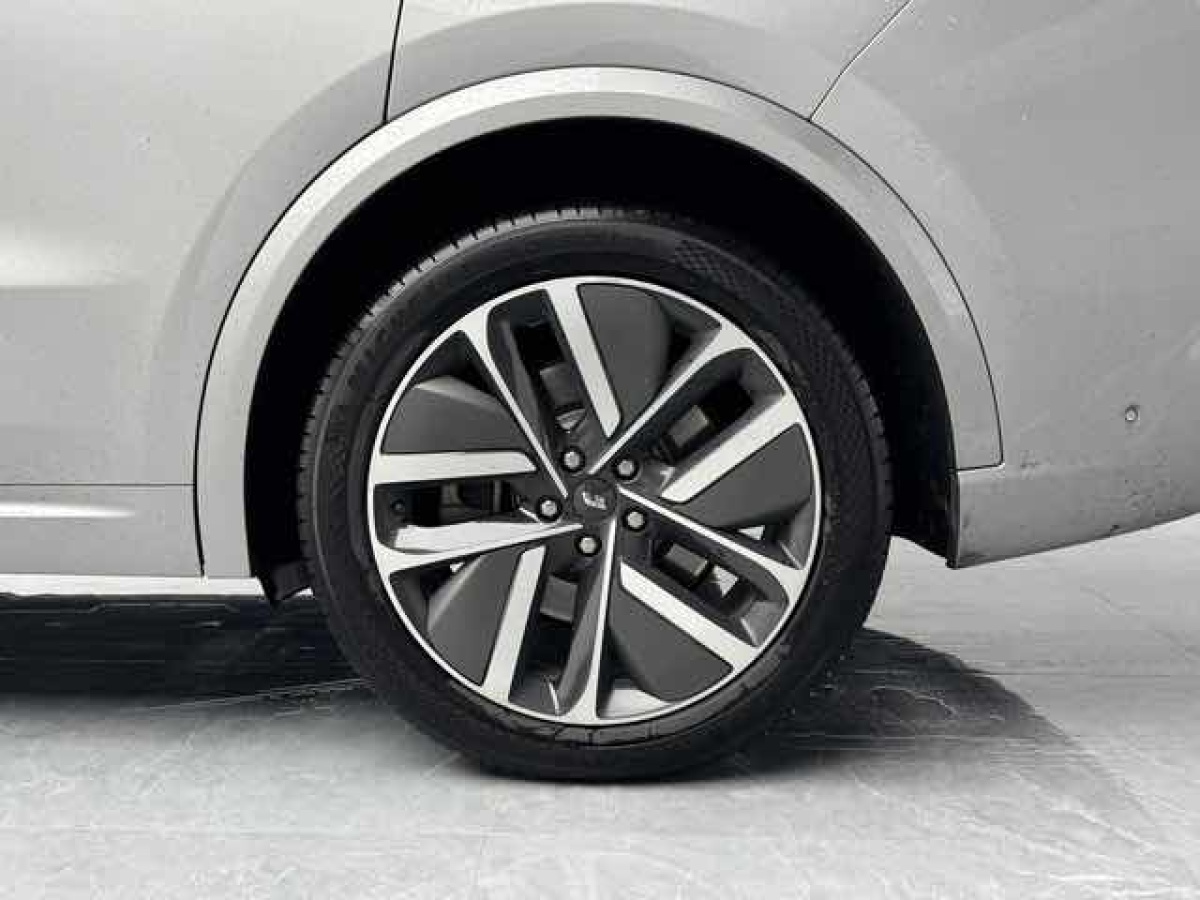 Li L9 2022 imagem de carro #17