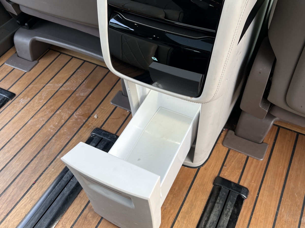 Denza D9 2023 image de voiture #17