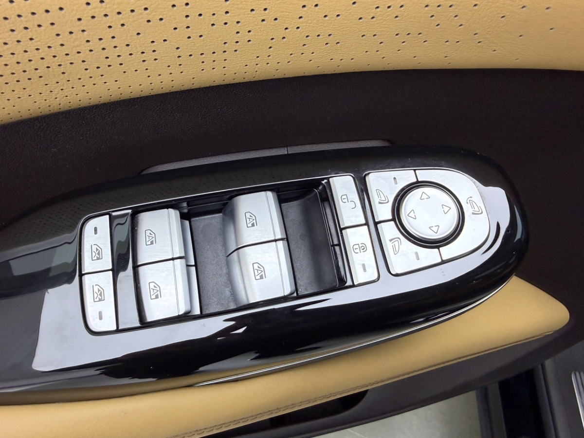 Denza D9 2024 immagine di auto #17