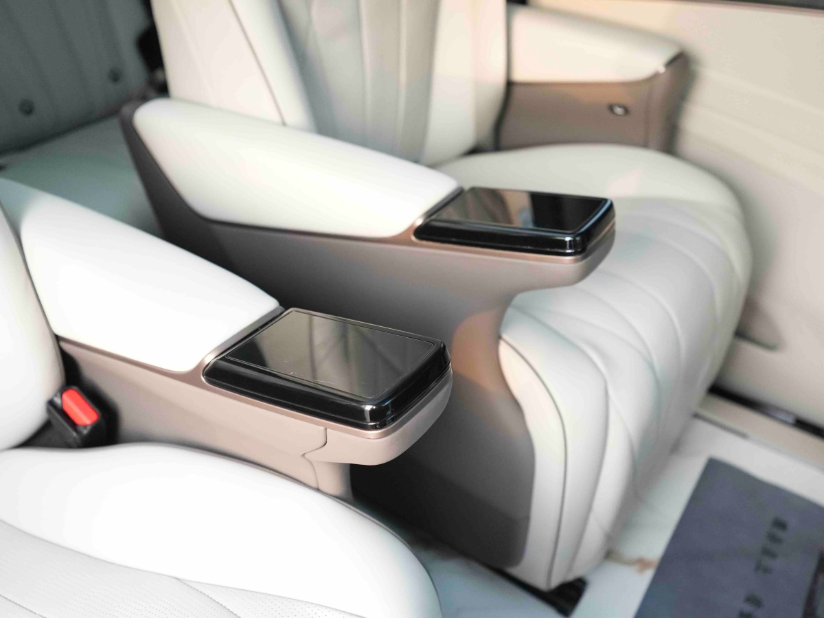 Denza D9 2023 imagem de carro #17