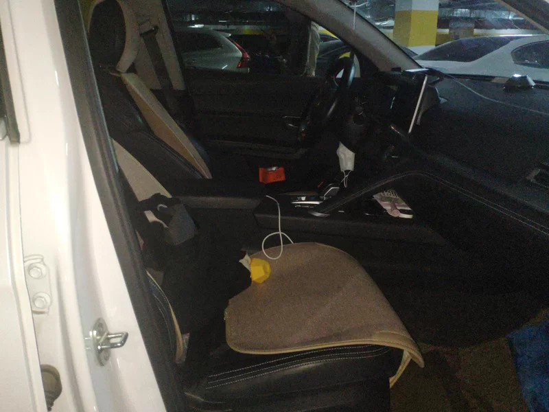 BYD Song Pro 2020 immagine di auto #17