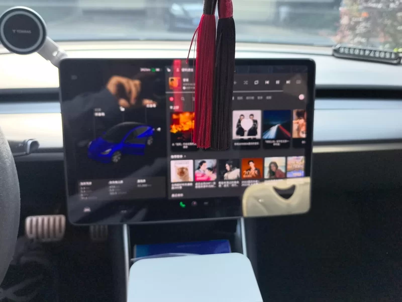 特斯拉 Model 3(进口) 2019 汽车图片 #17